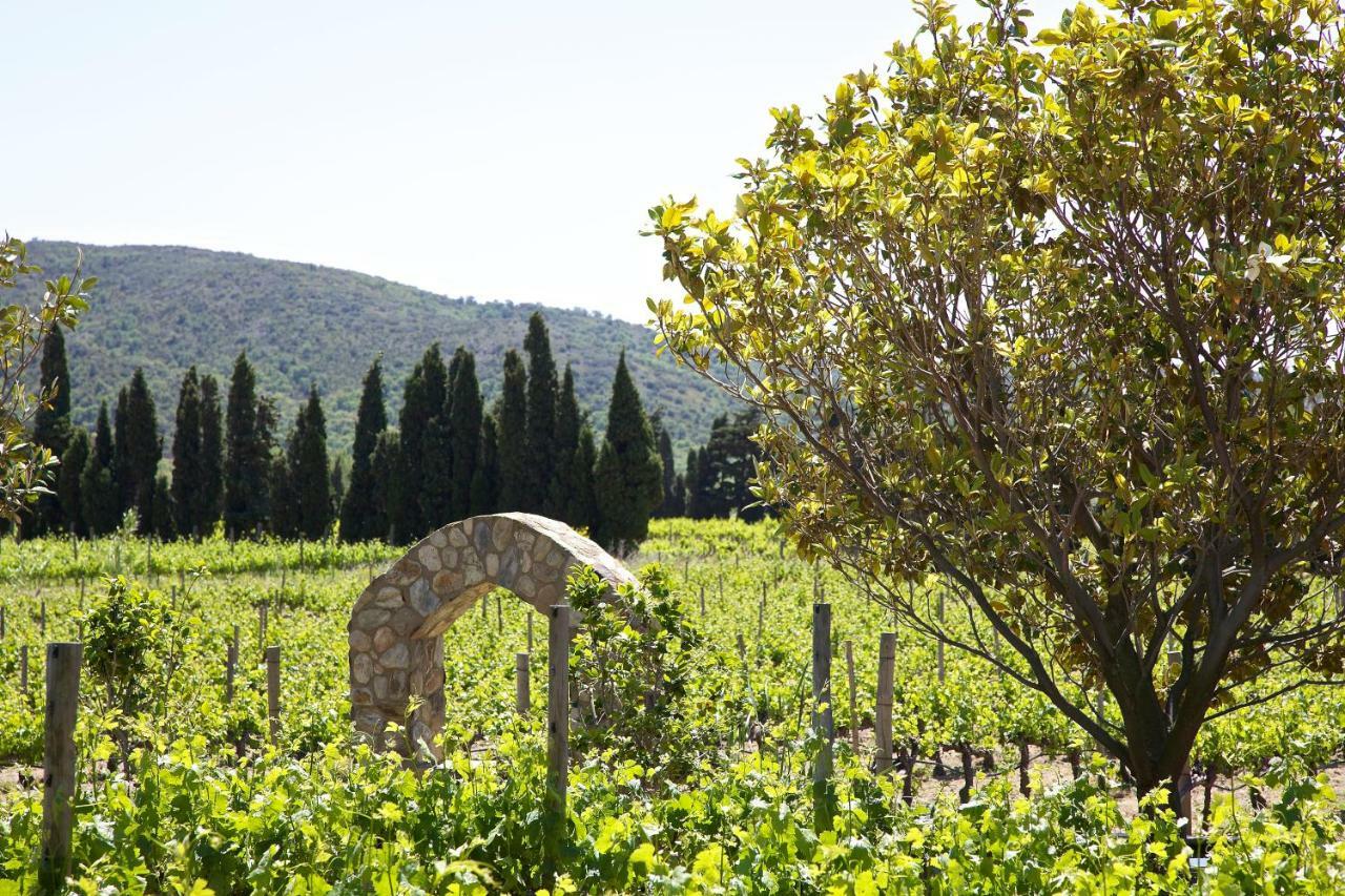 El Recer De Masia Serra Cantallops Exterior photo